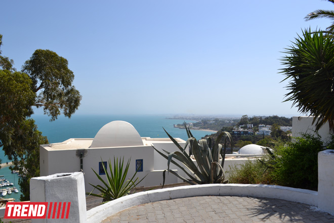 Путешествие в Тунис: в бело-голубом городке Сиди-бу-Саид (фото, часть 4)