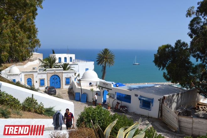 Путешествие в Тунис: в бело-голубом городке Сиди-бу-Саид (фото, часть 4)