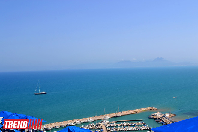 Путешествие в Тунис: в бело-голубом городке Сиди-бу-Саид (фото, часть 4)