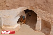 Путешествие в Тунис: в гостях у последнего троглодита  (фото, часть 5)