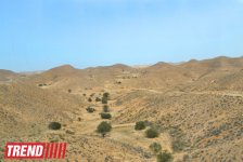 Путешествие в Тунис: в гостях у последнего троглодита  (фото, часть 5)