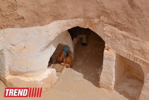 Путешествие в Тунис: в гостях у последнего троглодита  (фото, часть 5)