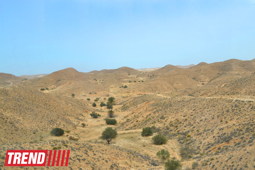 Путешествие в Тунис: в гостях у последнего троглодита  (фото, часть 5)