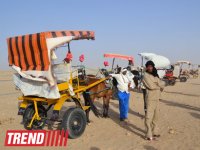 Путешествие в Тунис: выбираем оливковое масло и готовим "кус-кус" (фото, часть 6)