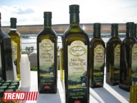 Путешествие в Тунис: выбираем оливковое масло и готовим "кус-кус" (фото, часть 6)