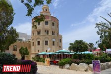 Путешествие в Тунис: выбираем оливковое масло и готовим "кус-кус" (фото, часть 6)