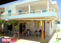 Путешествие в Тунис: выбираем оливковое масло и готовим "кус-кус" (фото, часть 6)