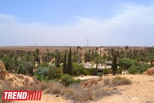 Путешествие в Тунис: выбираем оливковое масло и готовим "кус-кус" (фото, часть 6)