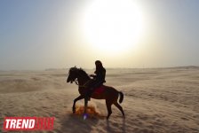 Путешествие в Тунис: выбираем оливковое масло и готовим "кус-кус" (фото, часть 6)