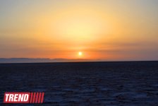 Путешествие в Тунис: выбираем оливковое масло и готовим "кус-кус" (фото, часть 6)