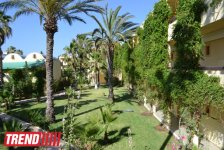 Путешествие в Тунис: выбираем оливковое масло и готовим "кус-кус" (фото, часть 6)