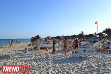 Путешествие в Тунис: выбираем оливковое масло и готовим "кус-кус" (фото, часть 6)