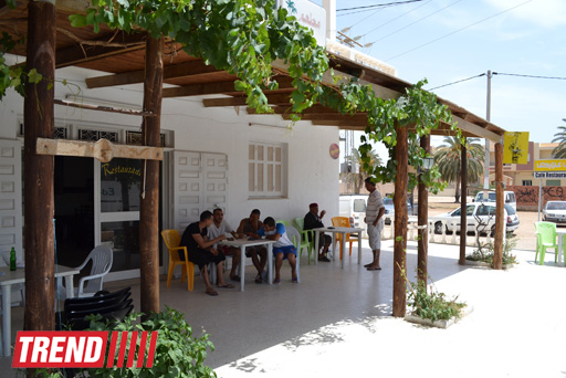 Путешествие в Тунис: выбираем оливковое масло и готовим "кус-кус" (фото, часть 6)