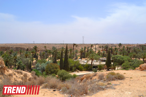 Путешествие в Тунис: выбираем оливковое масло и готовим "кус-кус" (фото, часть 6)