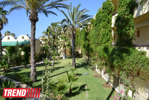 Путешествие в Тунис: выбираем оливковое масло и готовим "кус-кус" (фото, часть 6)