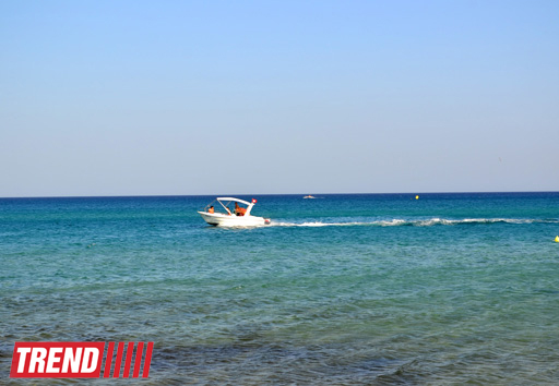 Путешествие в Тунис: выбираем оливковое масло и готовим "кус-кус" (фото, часть 6)