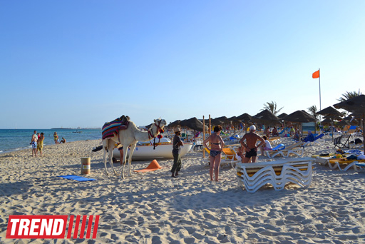 Путешествие в Тунис: выбираем оливковое масло и готовим "кус-кус" (фото, часть 6)