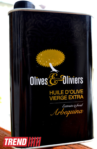 Путешествие в Тунис: выбираем оливковое масло и готовим "кус-кус" (фото, часть 6)