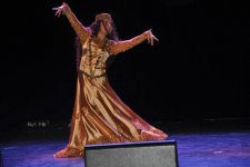 Культура Азербайджана представлена в Норвегии (фото)