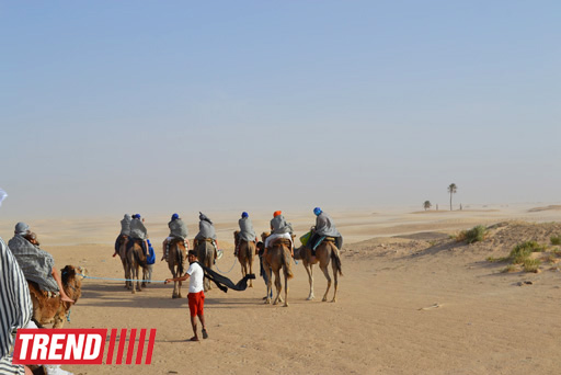 Путешествие в Тунис: Древнеримская эпоха, или Верблюд-сафари по Сахаре  (фото, часть 7)