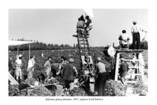 Уникальные ретро-кадры из азербайджанских фильмов - закулисные съемки (фотосессия)