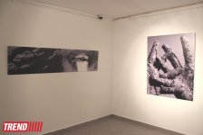 Человек в вулканической грязи, увядшие розы, разговор по душам - необычная выставка в Баку (фото)