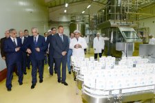 Президент Ильхам Алиев ознакомился с животноводческим и молочным комплексом в Кюрдамире (ФОТО)