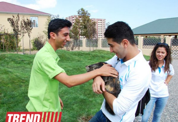 Азербайджанский центр спасения животных: все о жизни бездомных животных (фото)