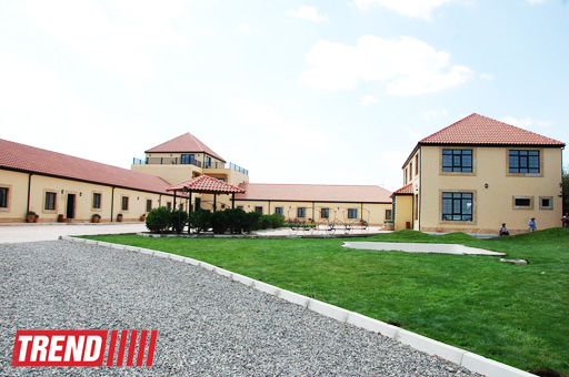 Азербайджанский центр спасения животных: все о жизни бездомных животных (фото)