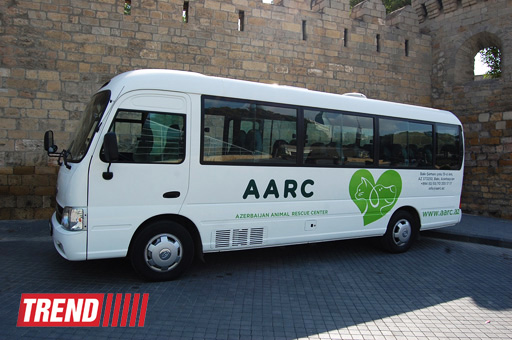 Азербайджанский центр спасения животных: все о жизни бездомных животных (фото)