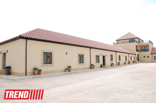 Азербайджанский центр спасения животных: все о жизни бездомных животных (фото)