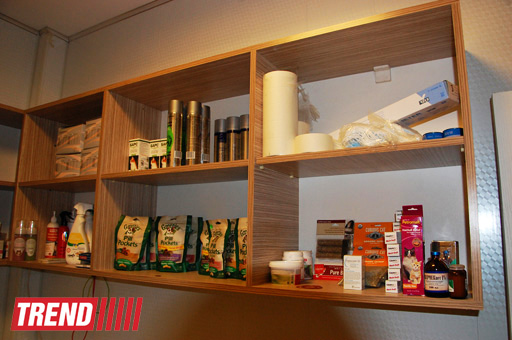 Азербайджанский центр спасения животных: все о жизни бездомных животных (фото)