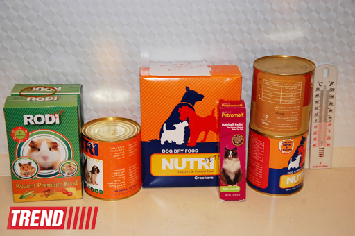 Азербайджанский центр спасения животных: все о жизни бездомных животных (фото)