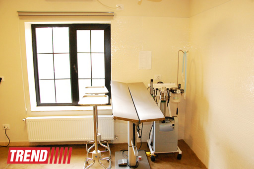 Азербайджанский центр спасения животных: все о жизни бездомных животных (фото)