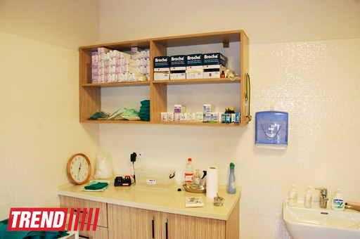 Азербайджанский центр спасения животных: все о жизни бездомных животных (фото)