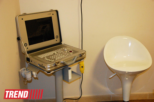 Азербайджанский центр спасения животных: все о жизни бездомных животных (фото)