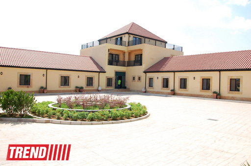 Азербайджанский центр спасения животных: все о жизни бездомных животных (фото)