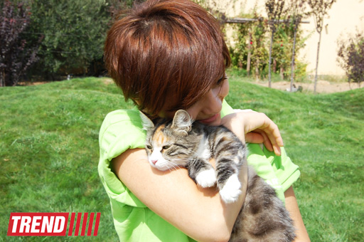 Азербайджанский центр спасения животных: все о жизни бездомных животных (фото)