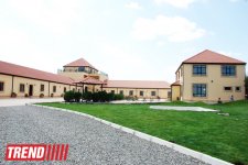 Азербайджанский центр спасения животных: все о жизни бездомных животных (фото)