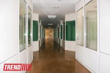 Азербайджанский центр спасения животных: все о жизни бездомных животных (фото)