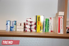 Азербайджанский центр спасения животных: все о жизни бездомных животных (фото)