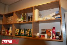 Азербайджанский центр спасения животных: все о жизни бездомных животных (фото)