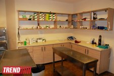 Азербайджанский центр спасения животных: все о жизни бездомных животных (фото)