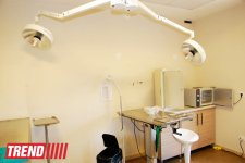 Азербайджанский центр спасения животных: все о жизни бездомных животных (фото)