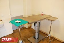 Азербайджанский центр спасения животных: все о жизни бездомных животных (фото)