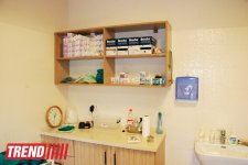 Азербайджанский центр спасения животных: все о жизни бездомных животных (фото)