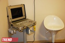 Азербайджанский центр спасения животных: все о жизни бездомных животных (фото)