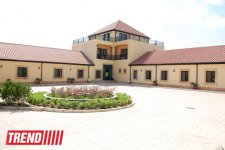 Азербайджанский центр спасения животных: все о жизни бездомных животных (фото)