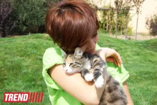 Азербайджанский центр спасения животных: все о жизни бездомных животных (фото)