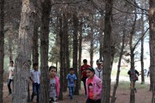 В Азербайджане для детей из семей беженцев и вынужденных переселенцев разработана  экологическая программа "Зеленая Школа" (фото)